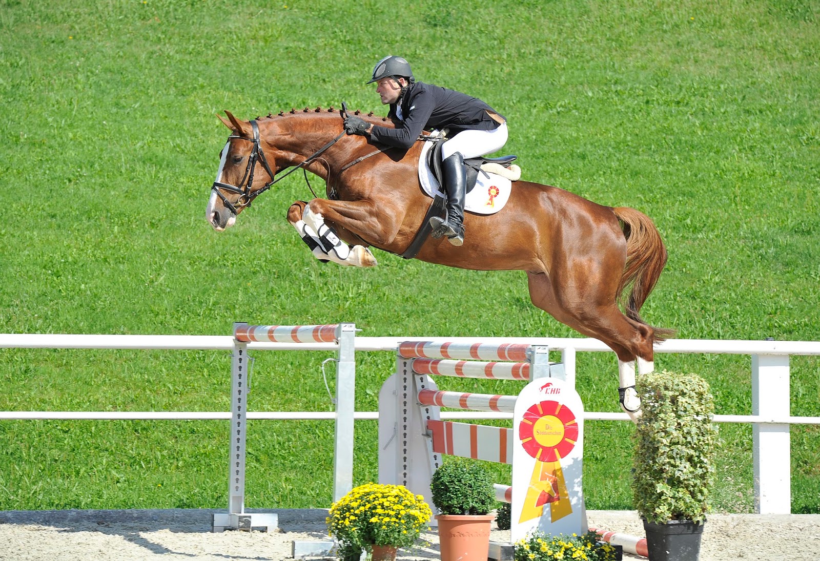 Salto de obstáculos