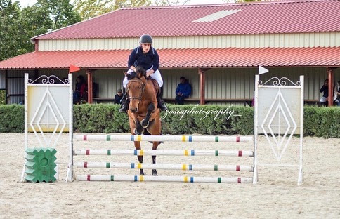 Clases de equitación