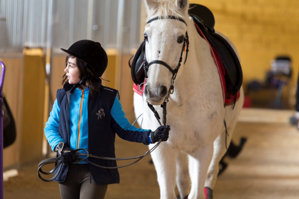 Iniciación a la Equitación