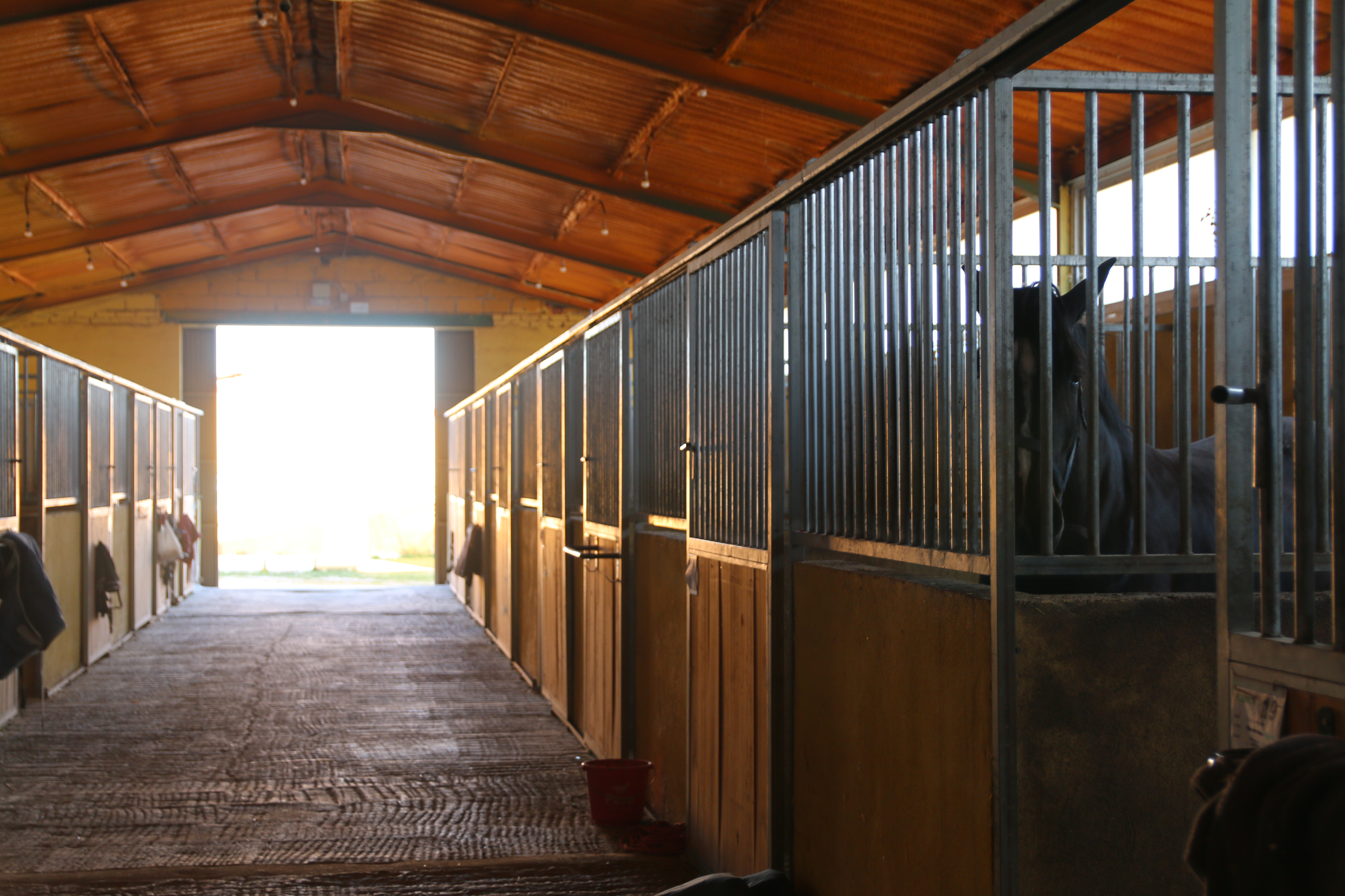 3 Naves de Boxes Cubiertas