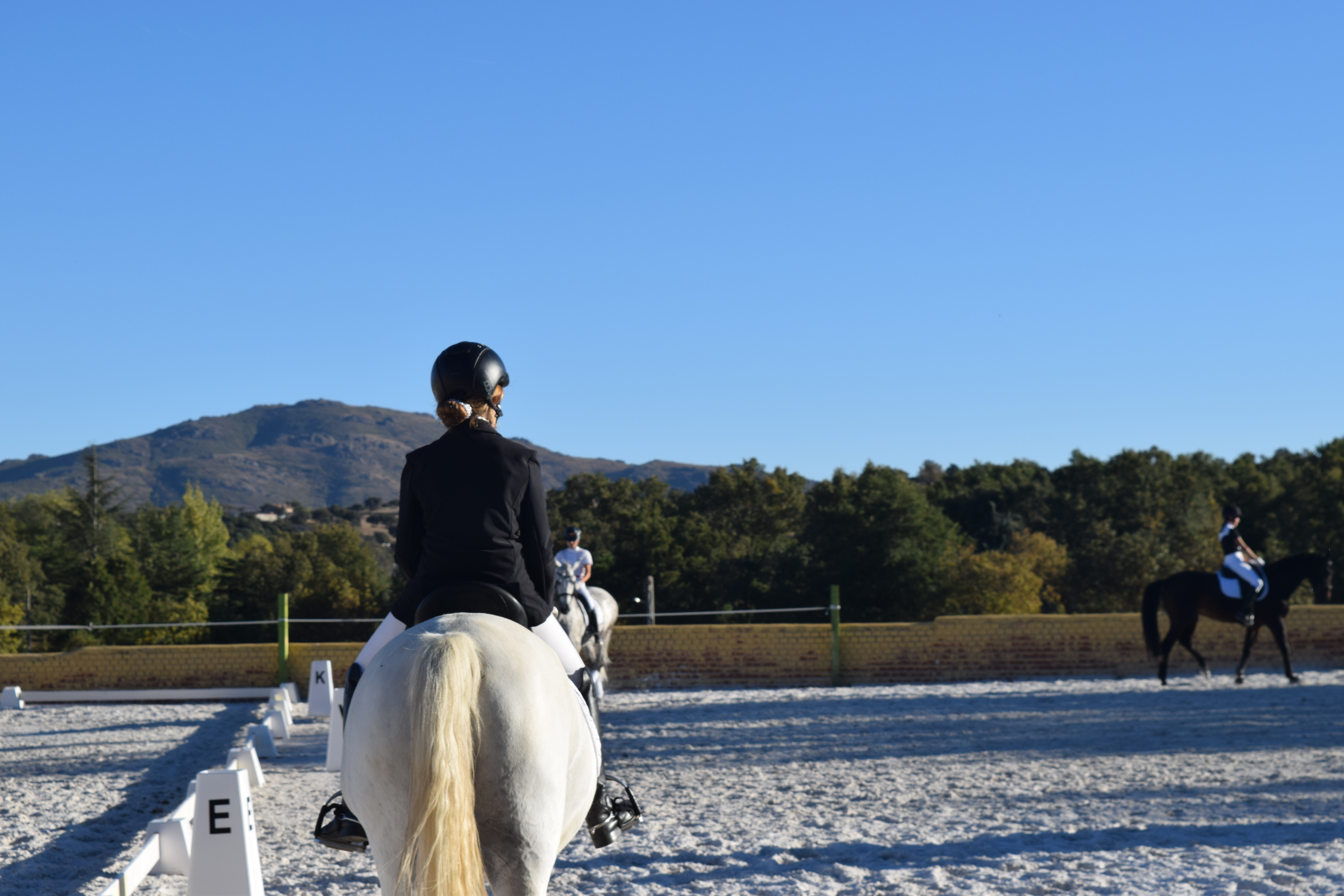 Concurso social 2022