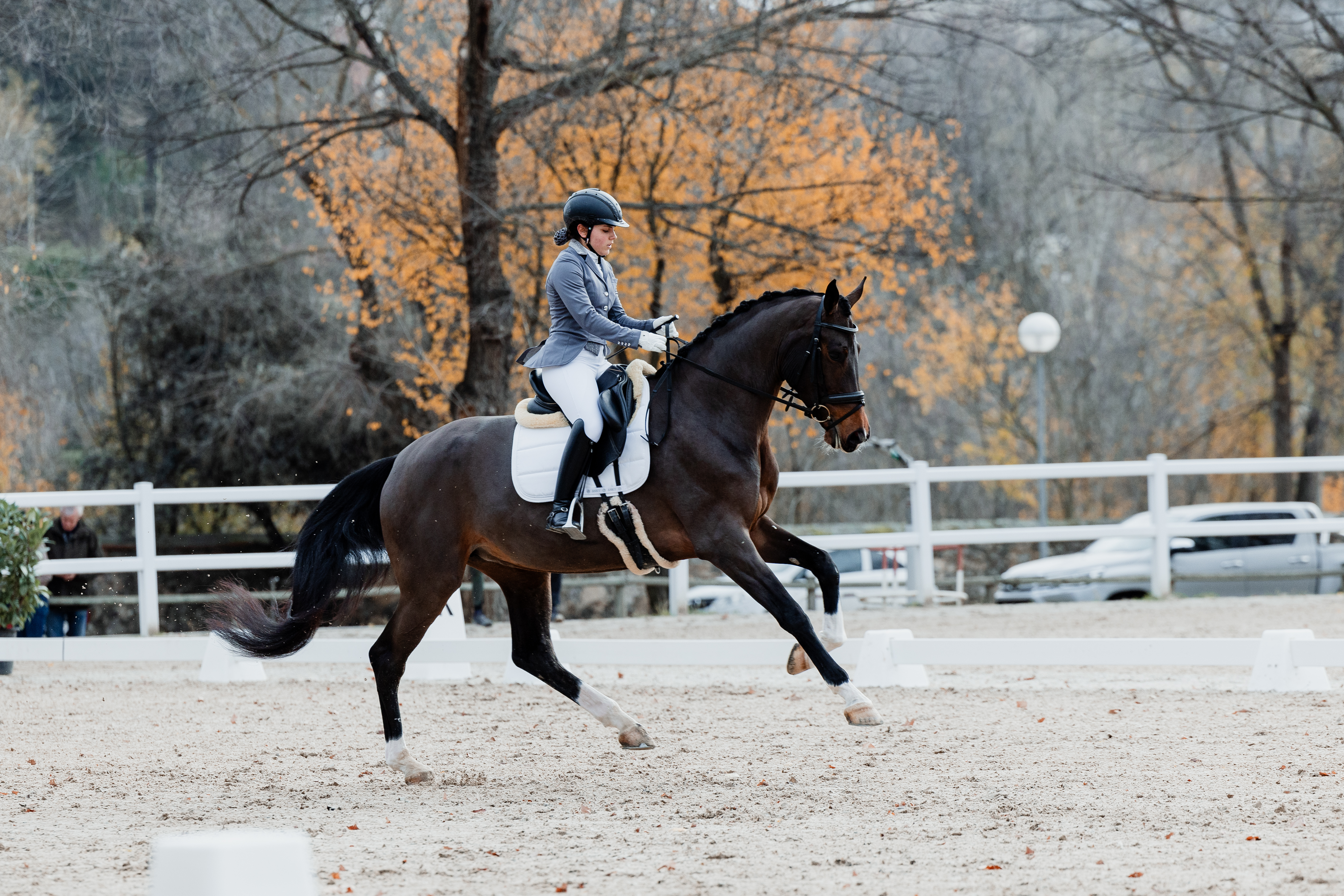 Lady de Baz Copa Federación 2023