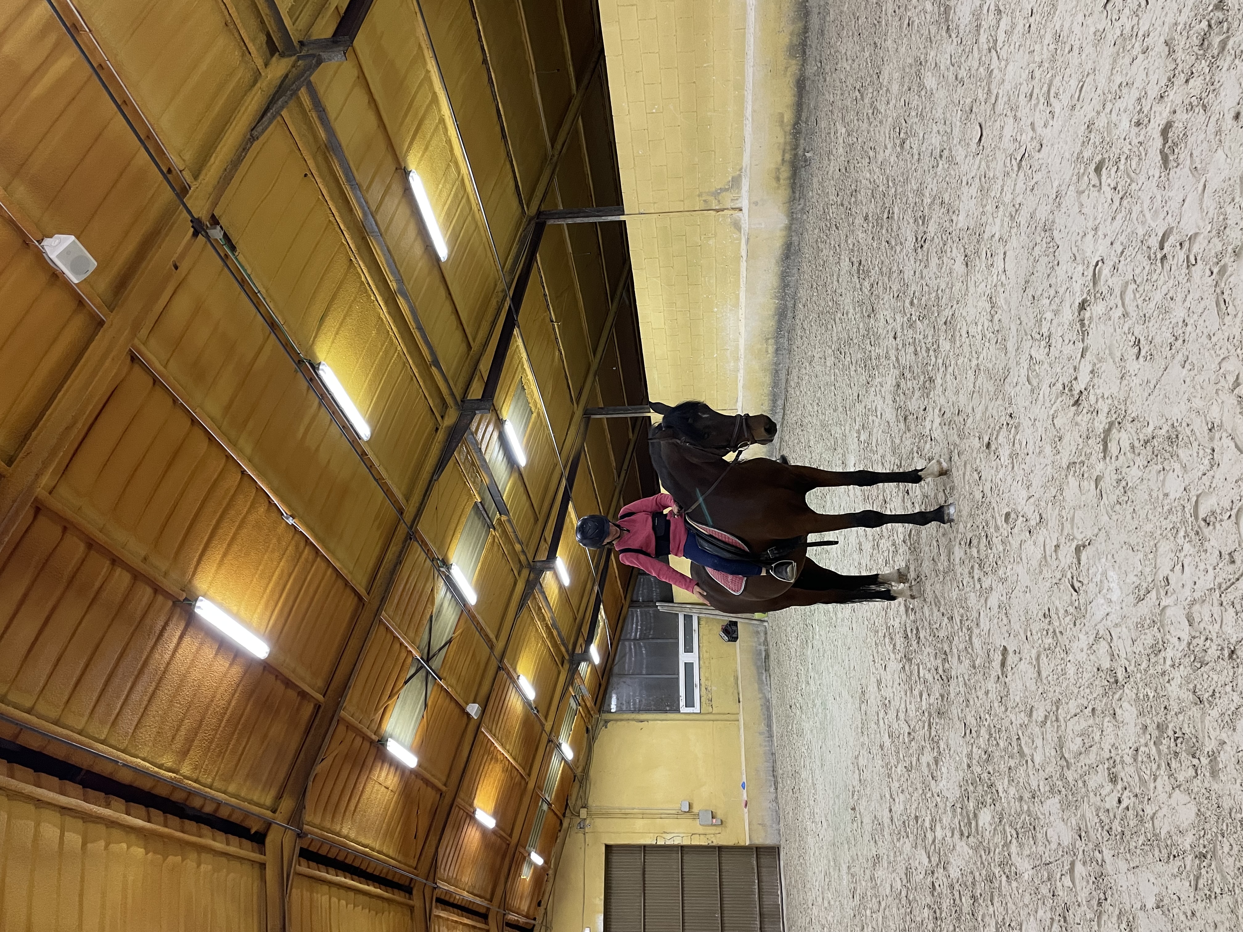 Clases doma clásica