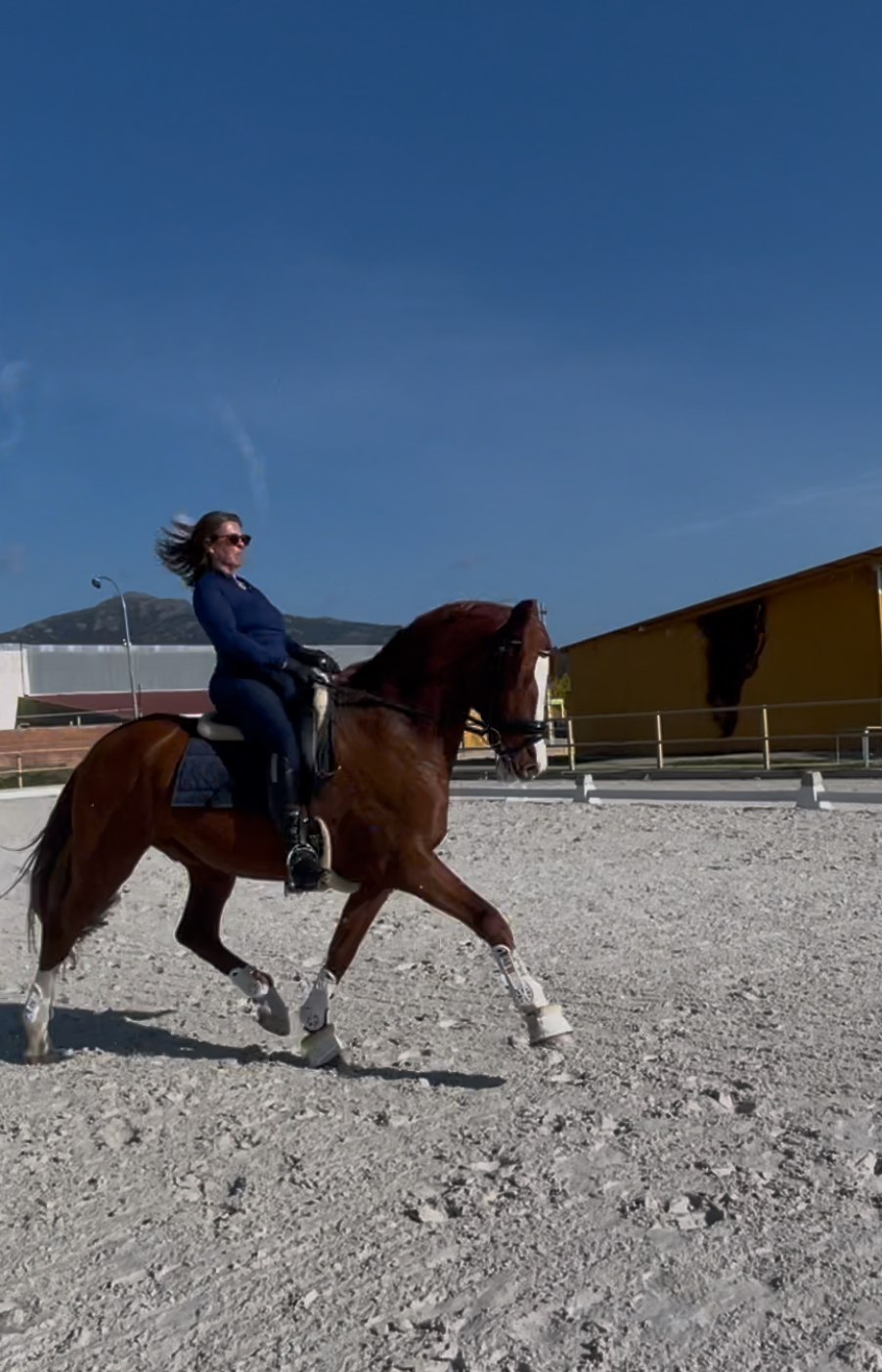 Dirección técnica doma clásica