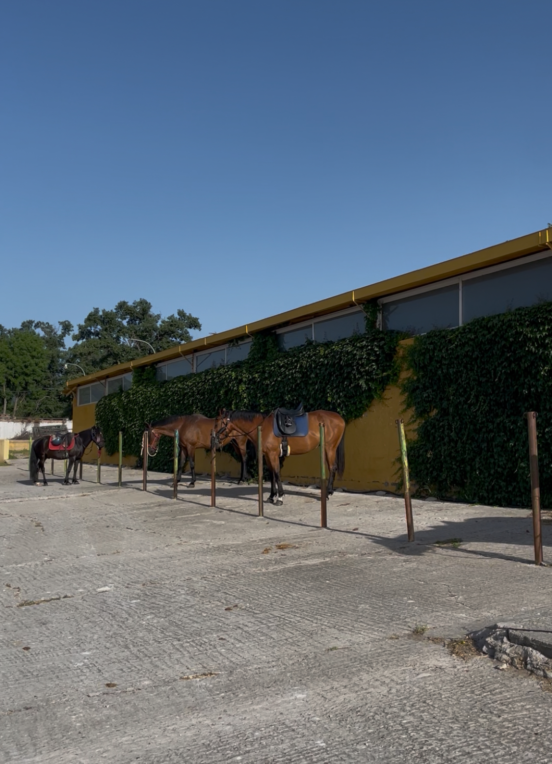 Preparadores exteriores