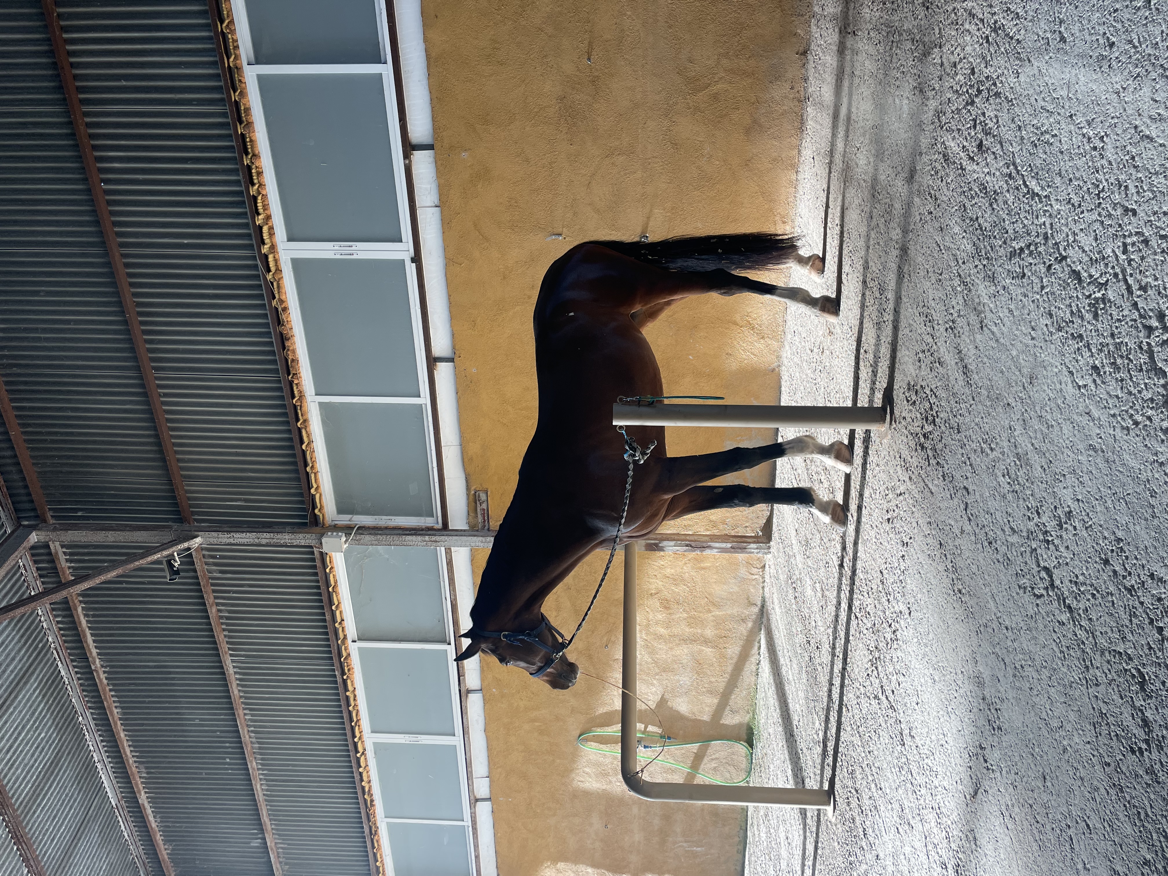 Preparadores y duchas cubiertas